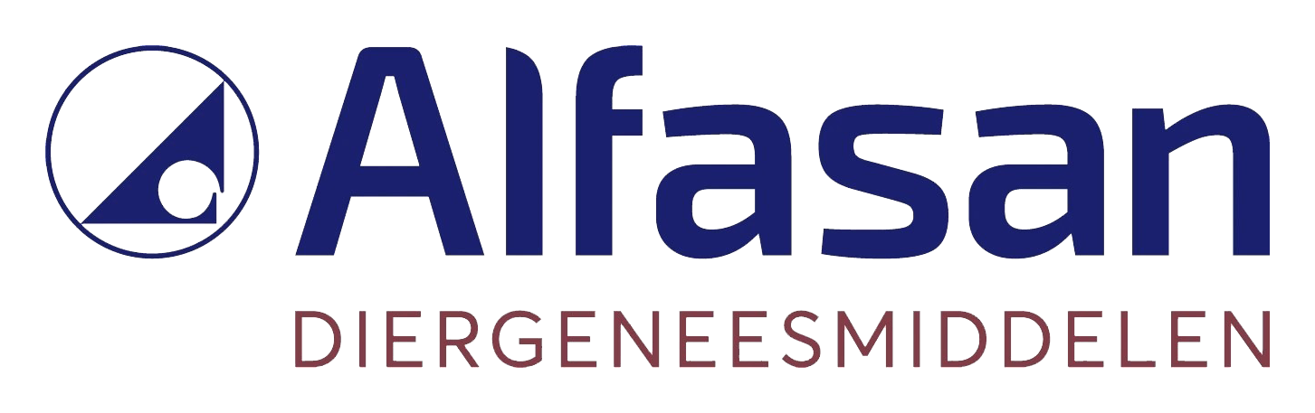 Logo IT en security als stabiele basis voor groei